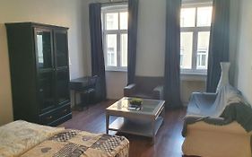 Spacious Apartment Near The Center